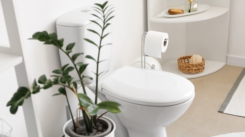 Answered: Why a Toilet Won't Stop Running and Five Other Top Issues
